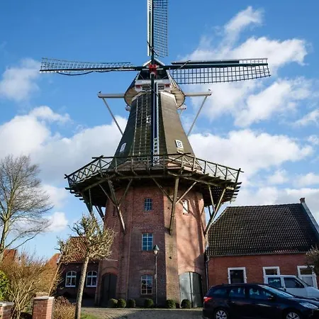 Robbe * Greetsiel